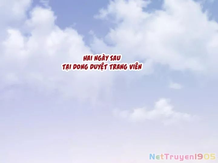 Trọng Sinh Không Làm Chạn Vương, Tôi Một Mình Nạp Game Thăng Cấp Chap 248 - Next Chap 249