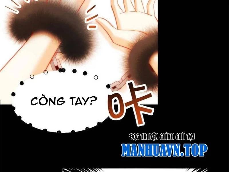 Trọng Sinh Không Làm Chạn Vương, Tôi Một Mình Nạp Game Thăng Cấp Chap 91 - Next Chap 92