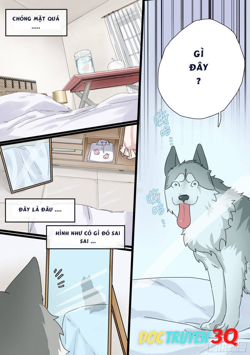 Trọng Sinh Thành Chó Của Nữ Thần Chap 1 - Next Chap 2