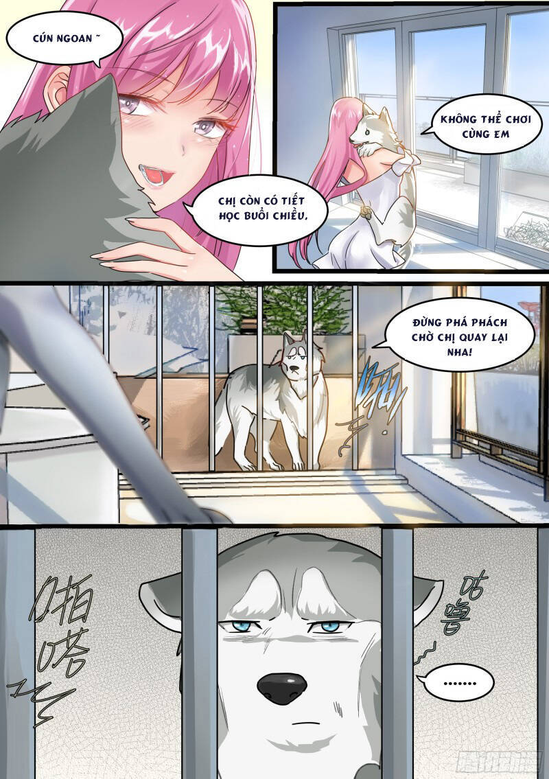 Trọng Sinh Thành Chó Của Nữ Thần Chap 1 - Next Chap 2