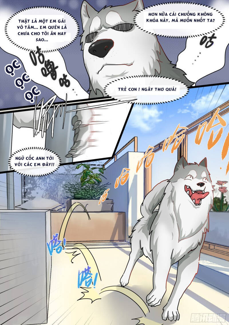 Trọng Sinh Thành Chó Của Nữ Thần Chap 1 - Next Chap 2
