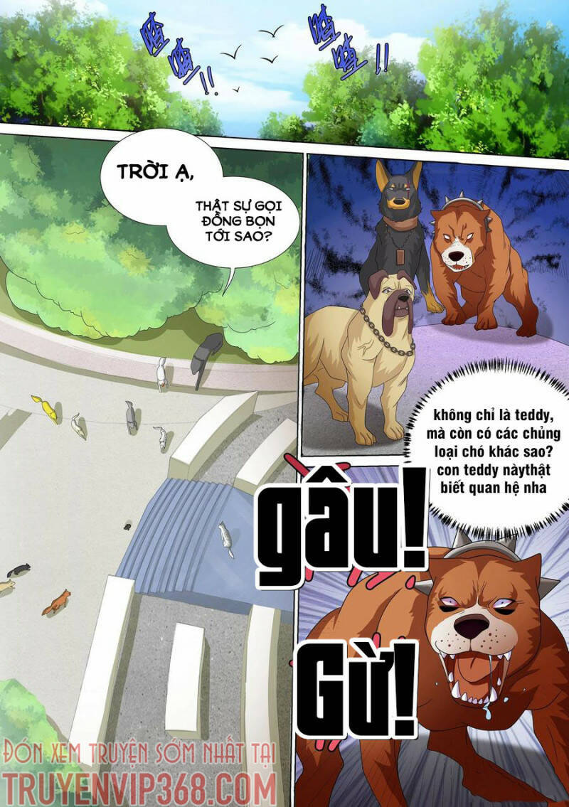 Trọng Sinh Thành Chó Của Nữ Thần Chap 10 - Next Chap 11