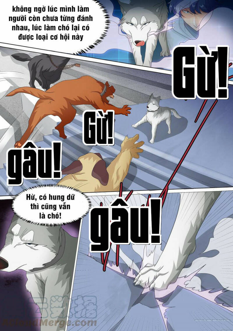 Trọng Sinh Thành Chó Của Nữ Thần Chap 10 - Next Chap 11