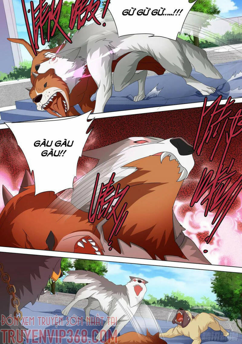 Trọng Sinh Thành Chó Của Nữ Thần Chap 10 - Next Chap 11