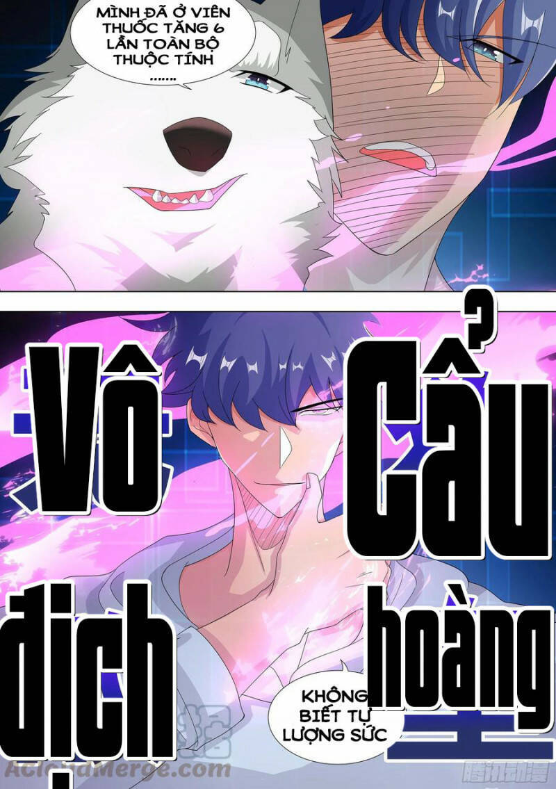 Trọng Sinh Thành Chó Của Nữ Thần Chap 10 - Next Chap 11