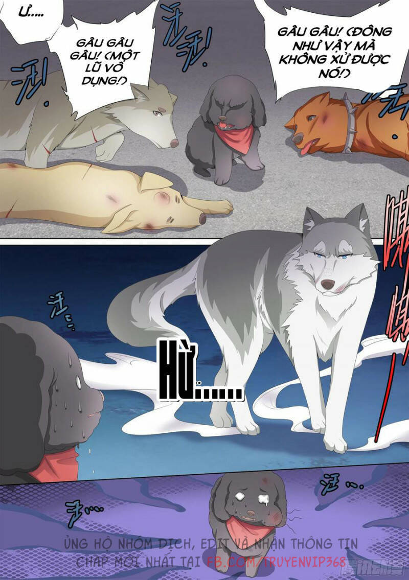 Trọng Sinh Thành Chó Của Nữ Thần Chap 10 - Next Chap 11