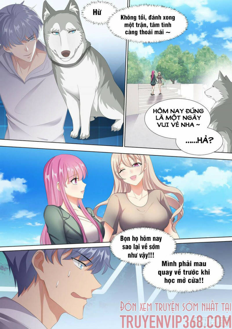 Trọng Sinh Thành Chó Của Nữ Thần Chap 10 - Next Chap 11