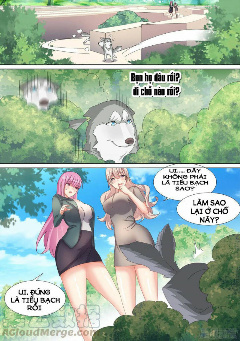 Trọng Sinh Thành Chó Của Nữ Thần Chap 10 - Next Chap 11