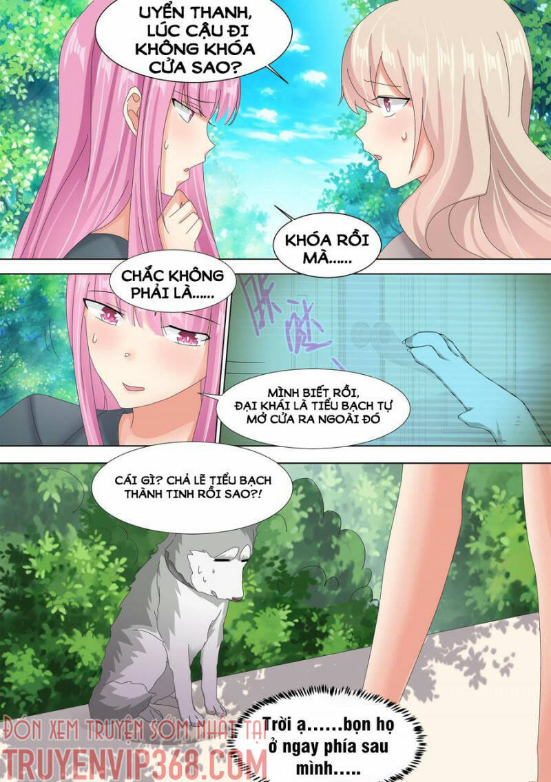 Trọng Sinh Thành Chó Của Nữ Thần Chap 10 - Next Chap 11
