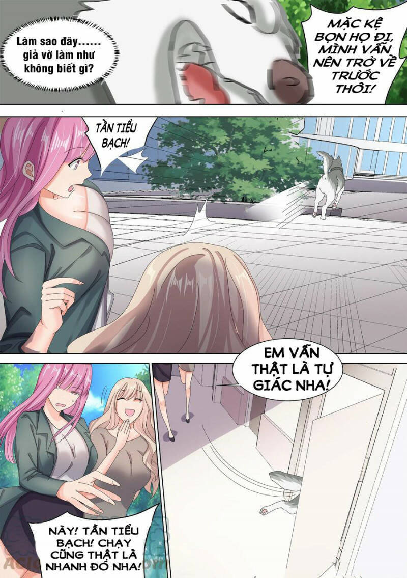 Trọng Sinh Thành Chó Của Nữ Thần Chap 10 - Next Chap 11