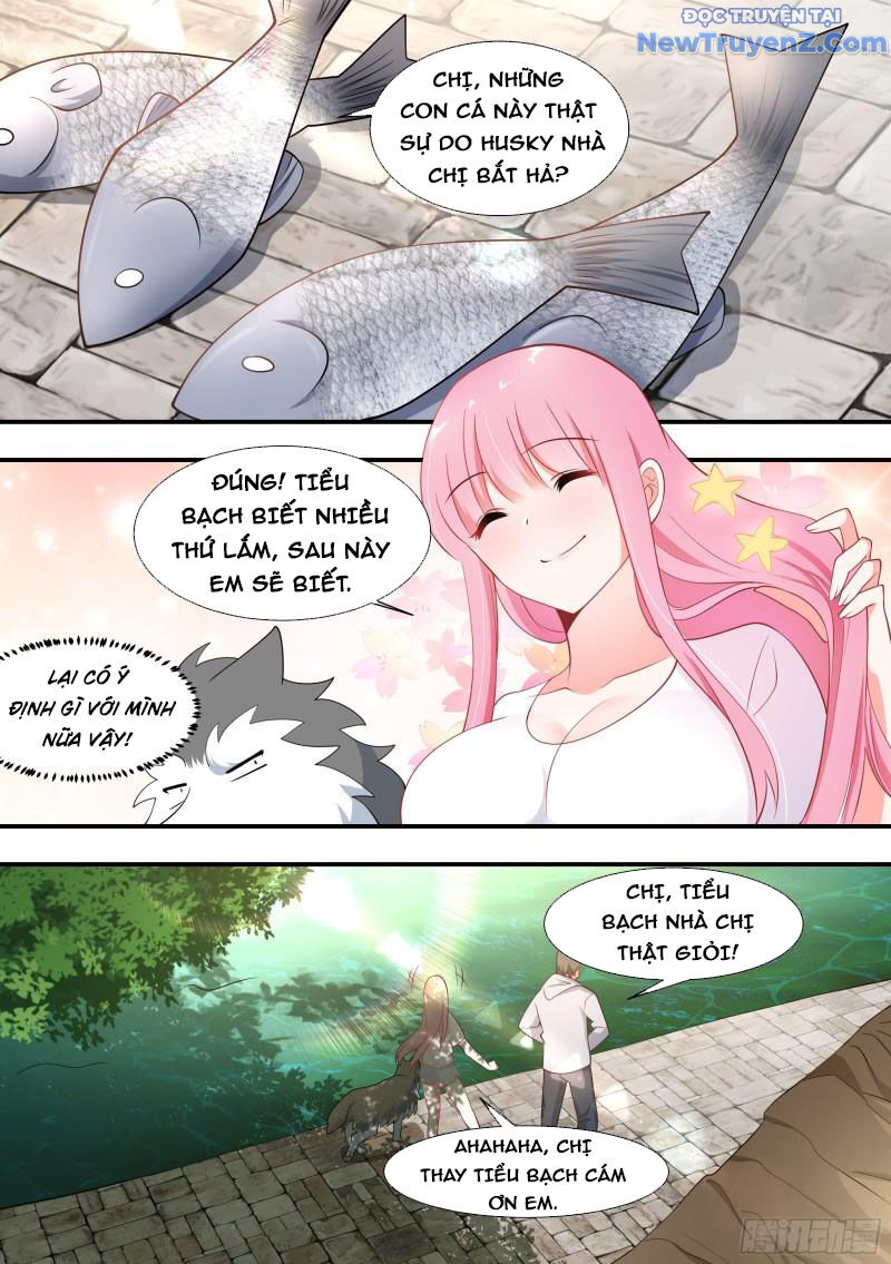 Trọng Sinh Thành Chó Của Nữ Thần Chap 100 - Next Chap 101