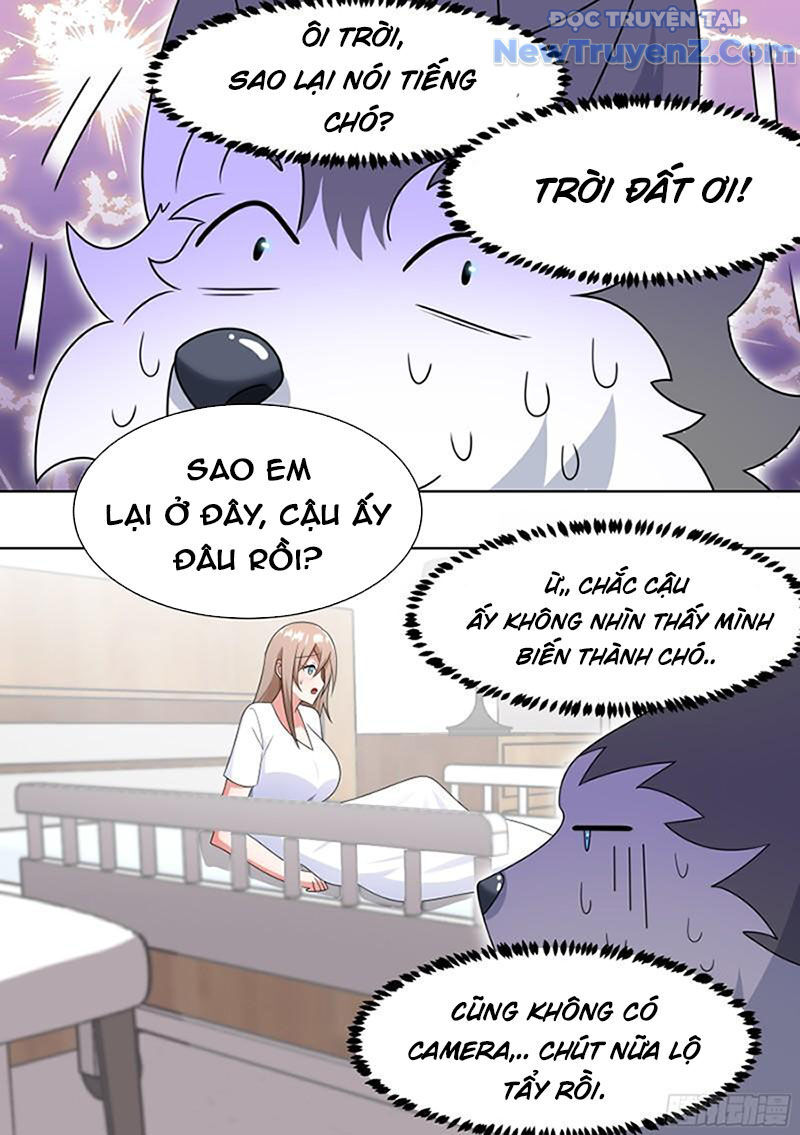 Trọng Sinh Thành Chó Của Nữ Thần Chap 196 - Next Chap 197