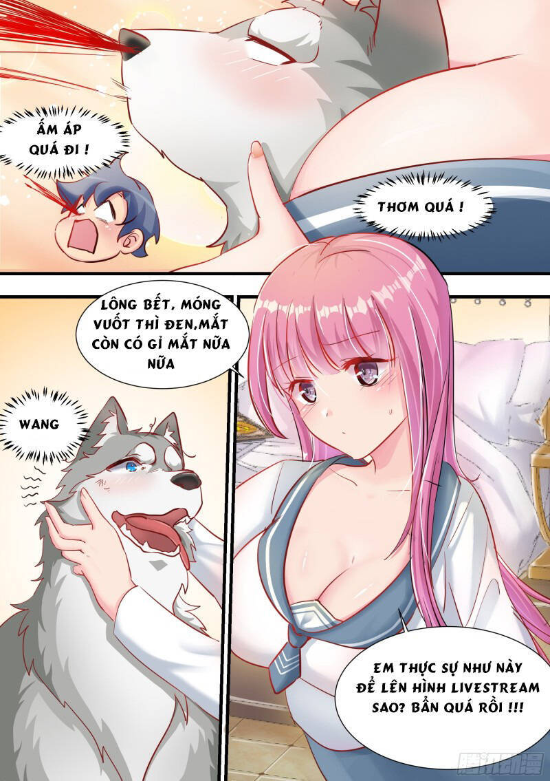 Trọng Sinh Thành Chó Của Nữ Thần Chap 2 - Next Chap 3