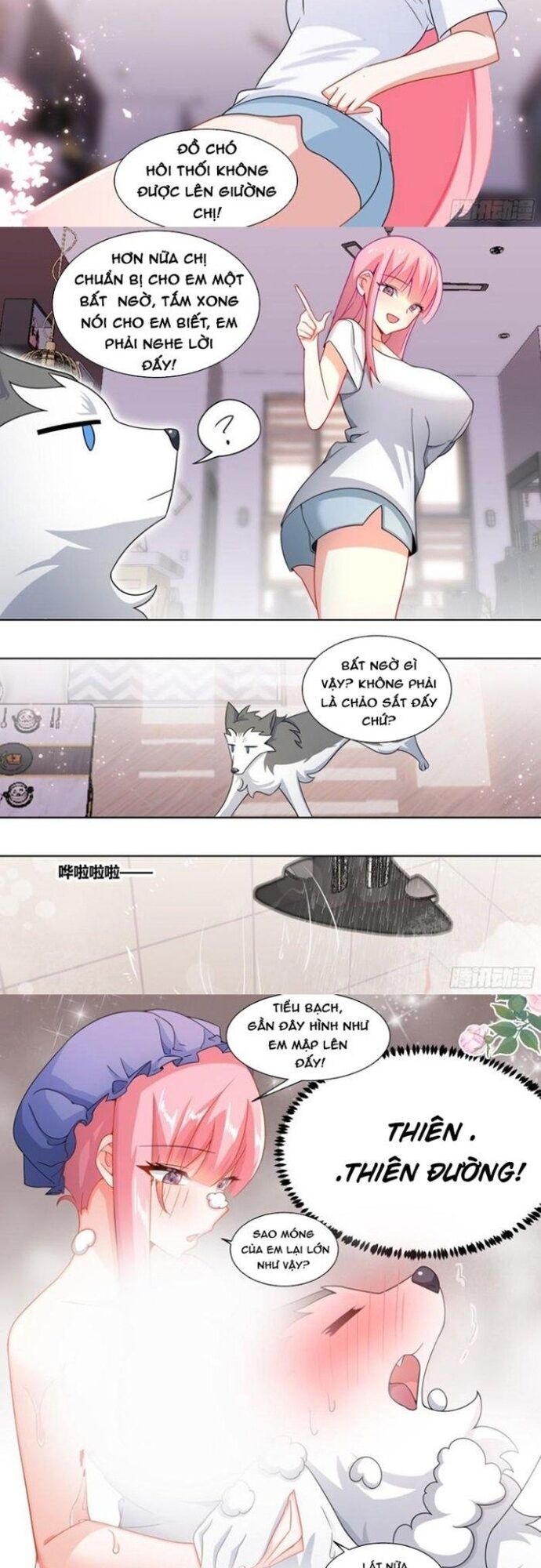 Trọng Sinh Thành Chó Của Nữ Thần Chap 219 - Next Chap 220
