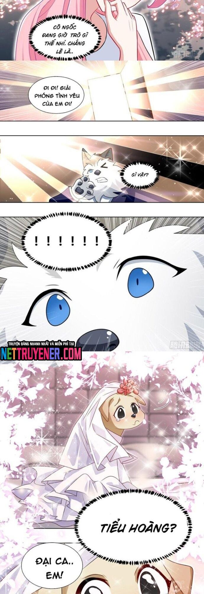 Trọng Sinh Thành Chó Của Nữ Thần Chap 219 - Next Chap 220