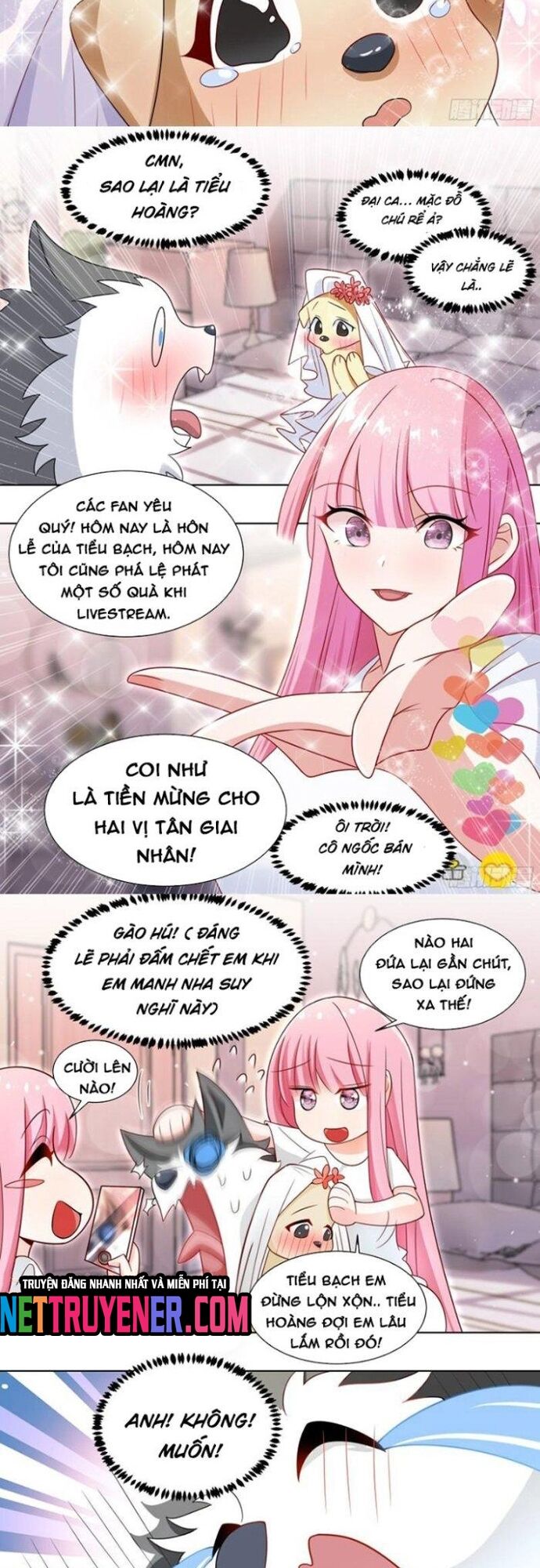 Trọng Sinh Thành Chó Của Nữ Thần Chap 219 - Next Chap 220