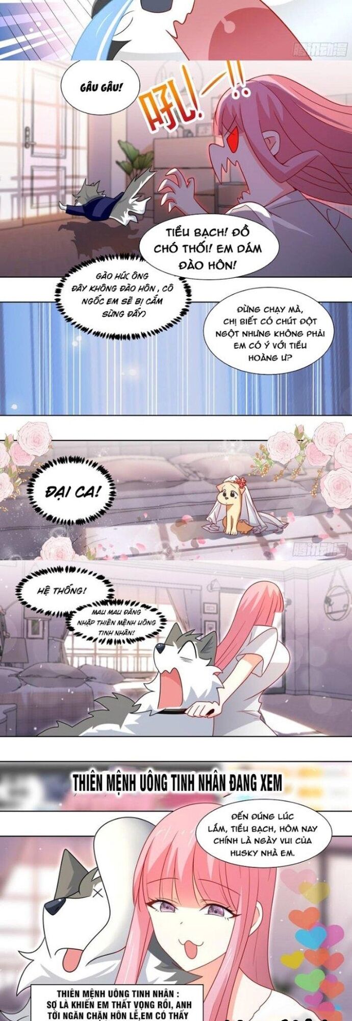 Trọng Sinh Thành Chó Của Nữ Thần Chap 219 - Next Chap 220