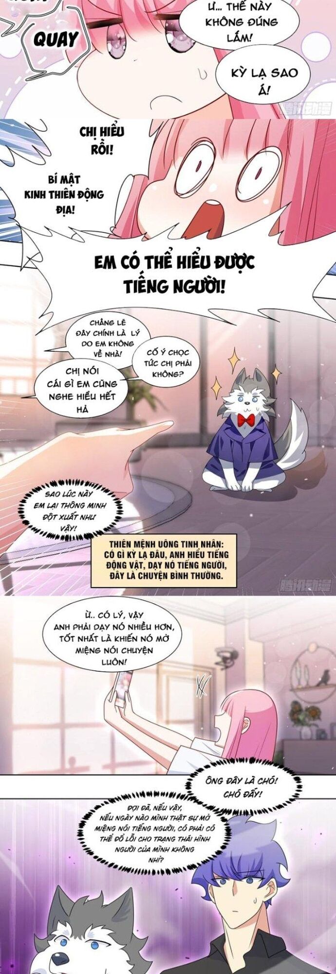 Trọng Sinh Thành Chó Của Nữ Thần Chap 220 - Next Chap 221