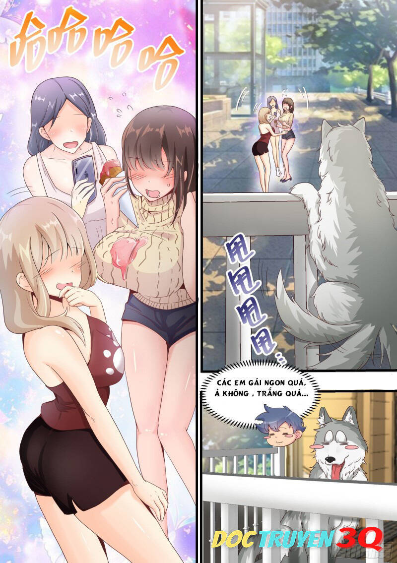 Trọng Sinh Thành Chó Của Nữ Thần Chap 3 - Next Chap 4