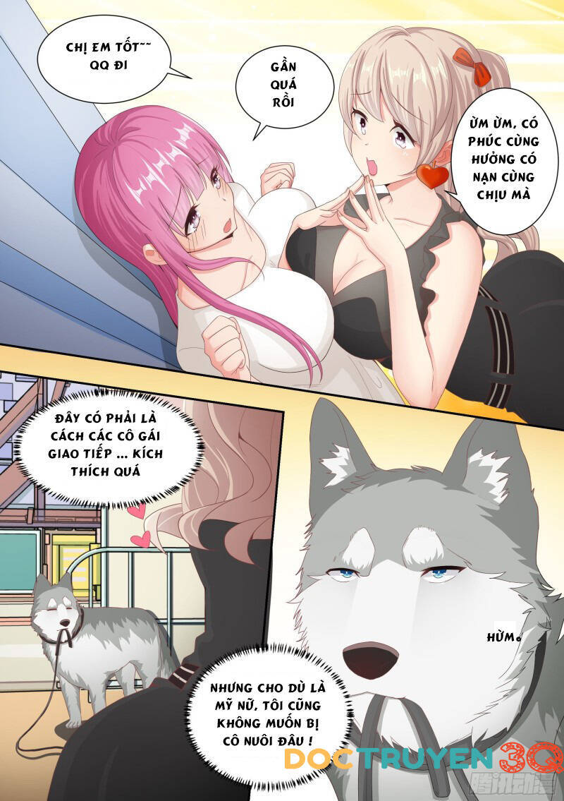 Trọng Sinh Thành Chó Của Nữ Thần Chap 4 - Next Chap 5