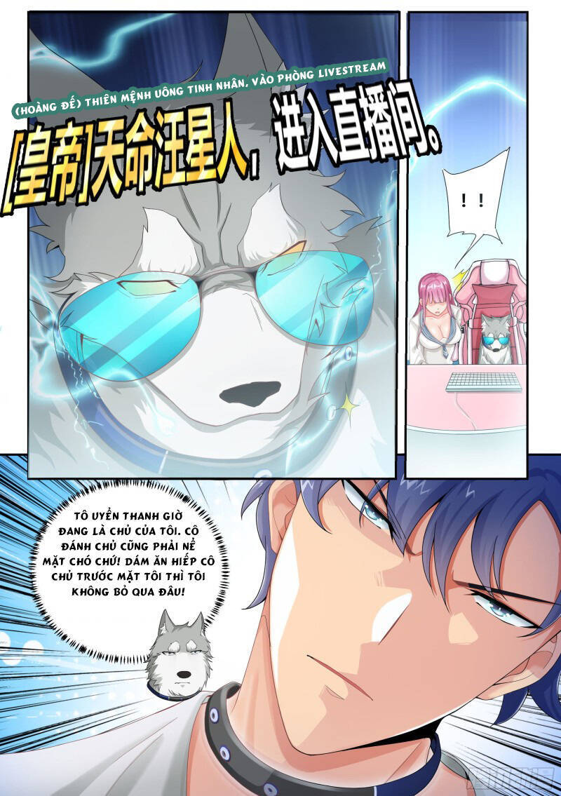 Trọng Sinh Thành Chó Của Nữ Thần Chap 4 - Next Chap 5