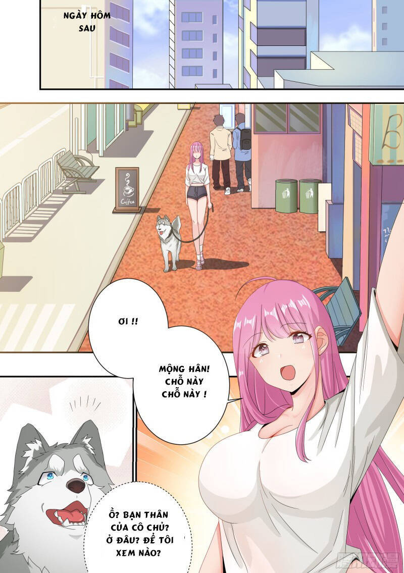 Trọng Sinh Thành Chó Của Nữ Thần Chap 4 - Next Chap 5