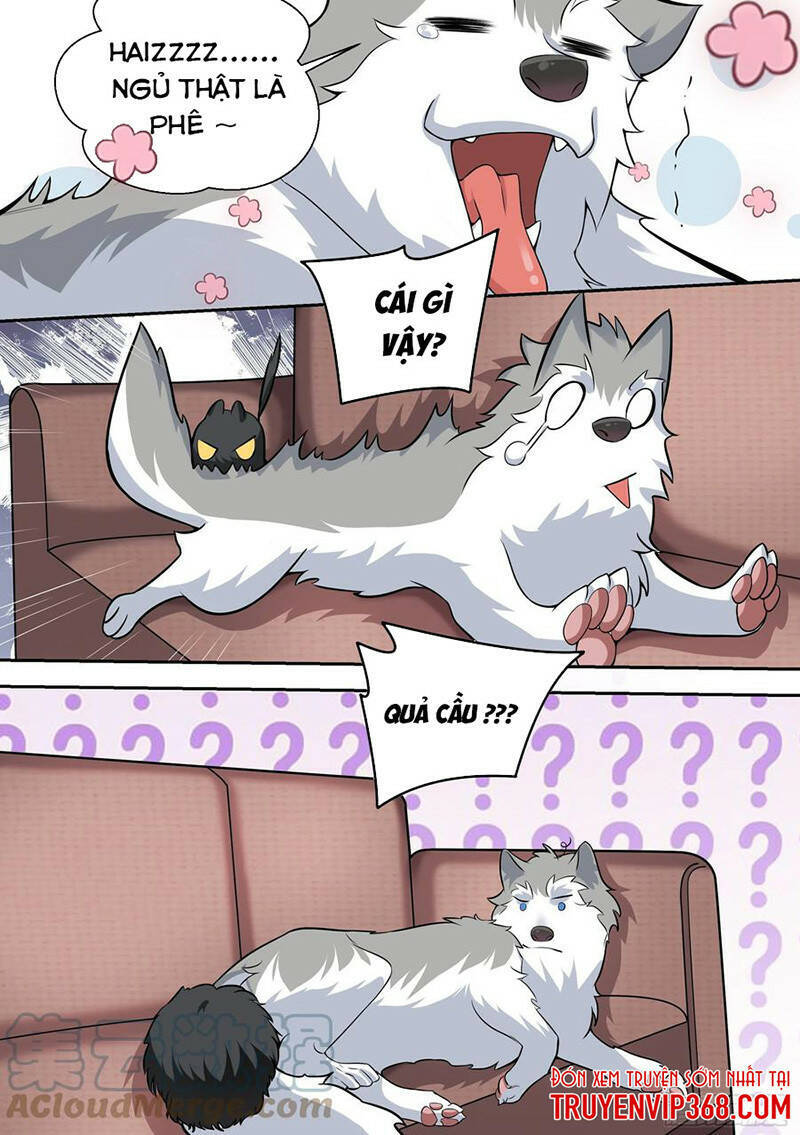 Trọng Sinh Thành Chó Của Nữ Thần Chap 49 - Next Chap 50