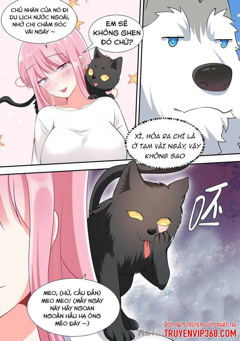 Trọng Sinh Thành Chó Của Nữ Thần Chap 49 - Next Chap 50