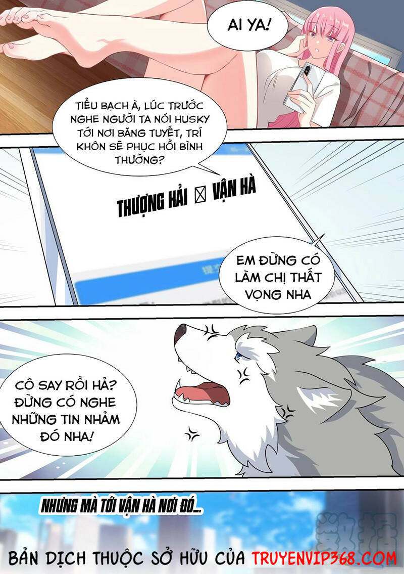 Trọng Sinh Thành Chó Của Nữ Thần Chap 52 - Next Chap 53