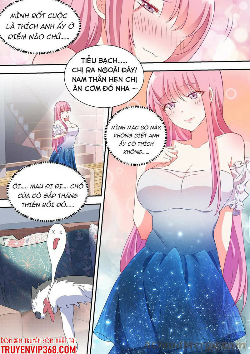 Trọng Sinh Thành Chó Của Nữ Thần Chap 54 - Next Chap 55