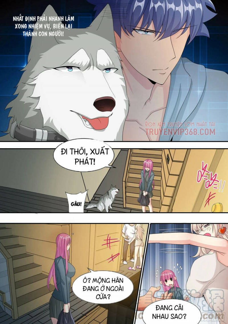 Trọng Sinh Thành Chó Của Nữ Thần Chap 7 - Next Chap 8