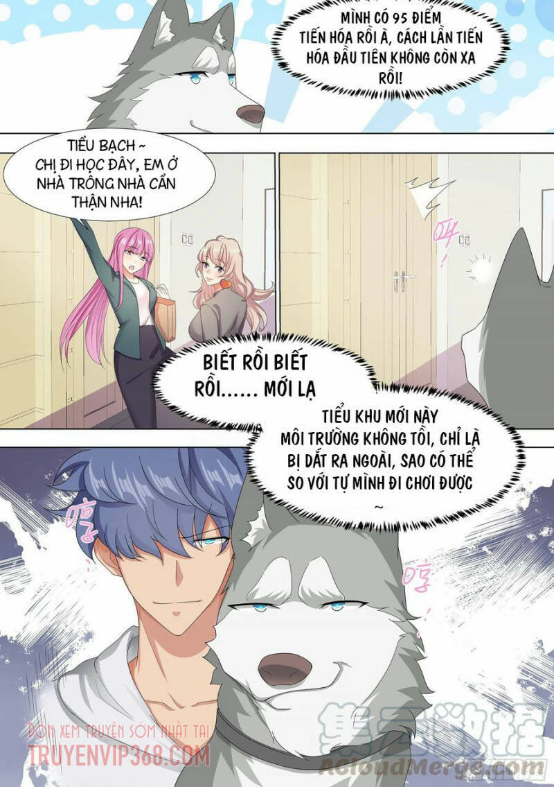 Trọng Sinh Thành Chó Của Nữ Thần Chap 9 - Next Chap 10