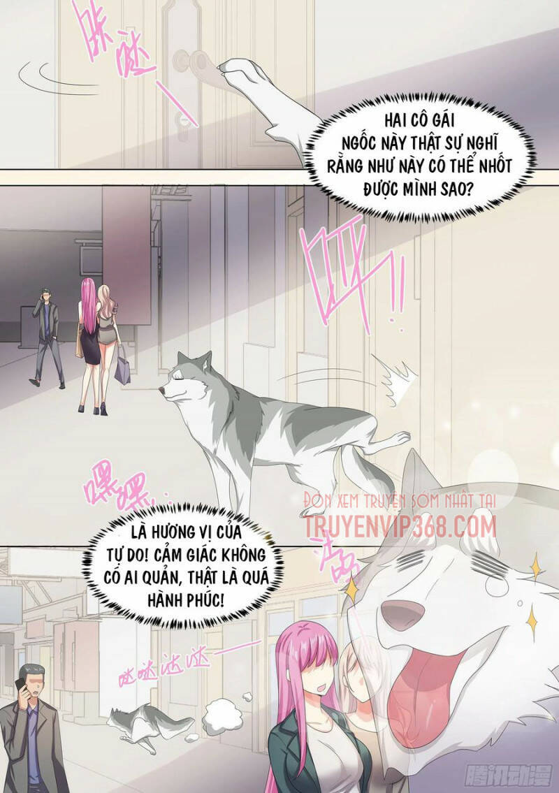 Trọng Sinh Thành Chó Của Nữ Thần Chap 9 - Next Chap 10