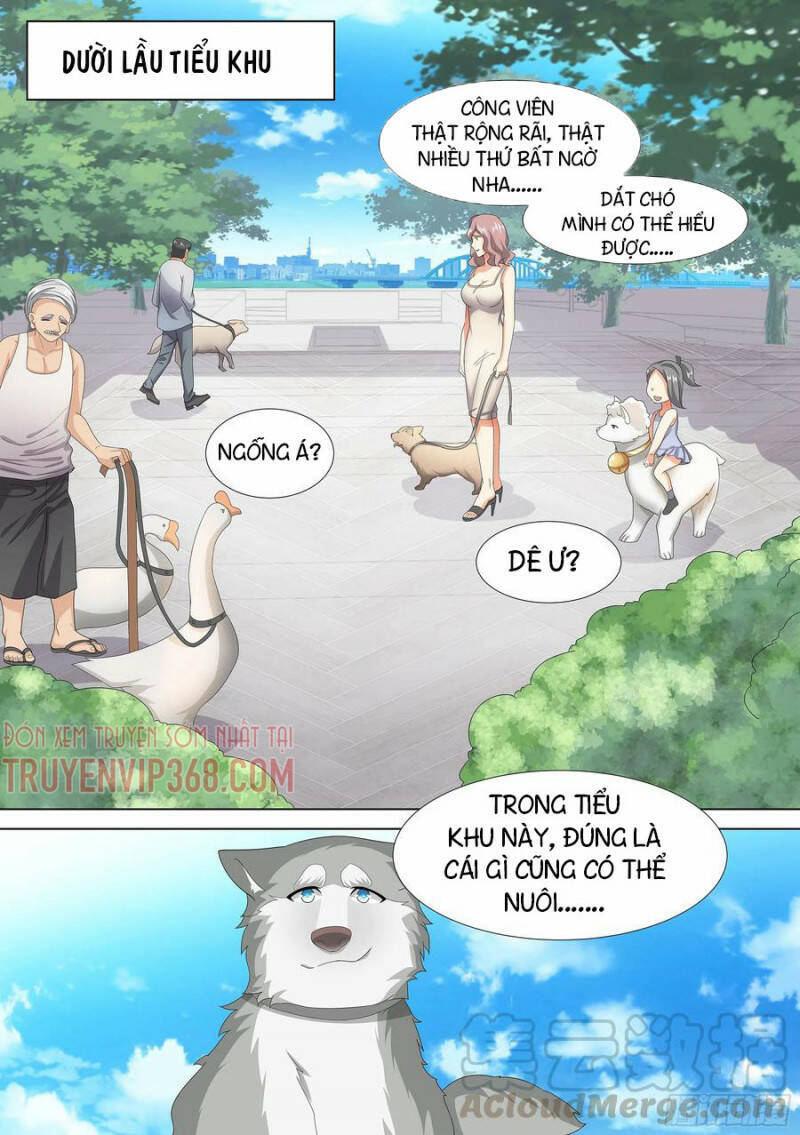 Trọng Sinh Thành Chó Của Nữ Thần Chap 9 - Next Chap 10