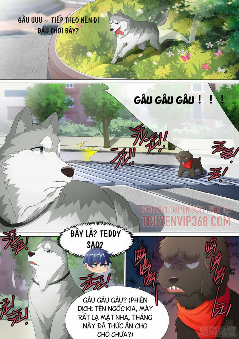 Trọng Sinh Thành Chó Của Nữ Thần Chap 9 - Next Chap 10