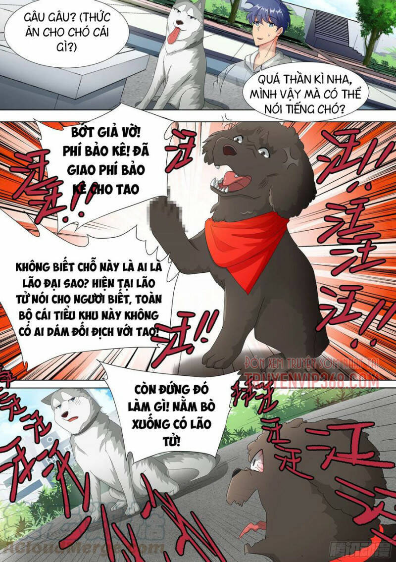 Trọng Sinh Thành Chó Của Nữ Thần Chap 9 - Next Chap 10