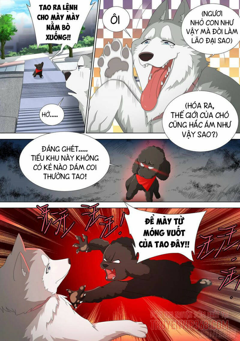Trọng Sinh Thành Chó Của Nữ Thần Chap 9 - Next Chap 10