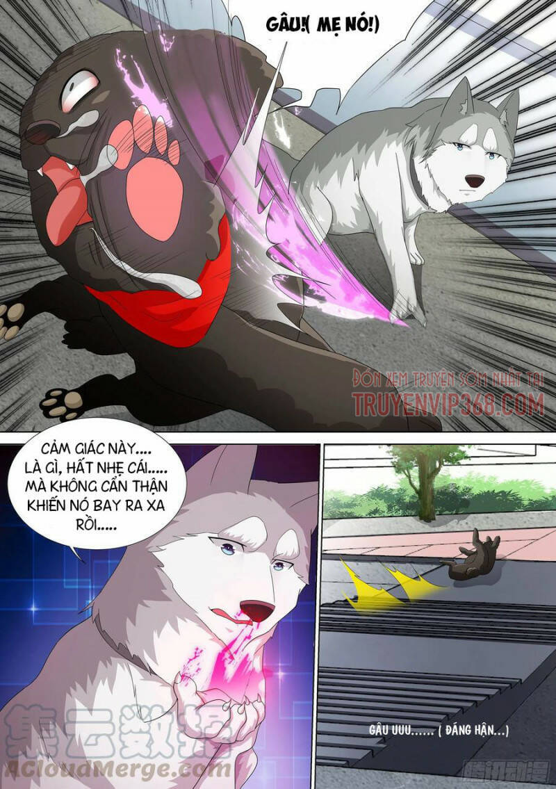 Trọng Sinh Thành Chó Của Nữ Thần Chap 9 - Next Chap 10