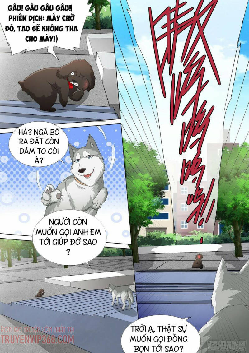 Trọng Sinh Thành Chó Của Nữ Thần Chap 9 - Next Chap 10