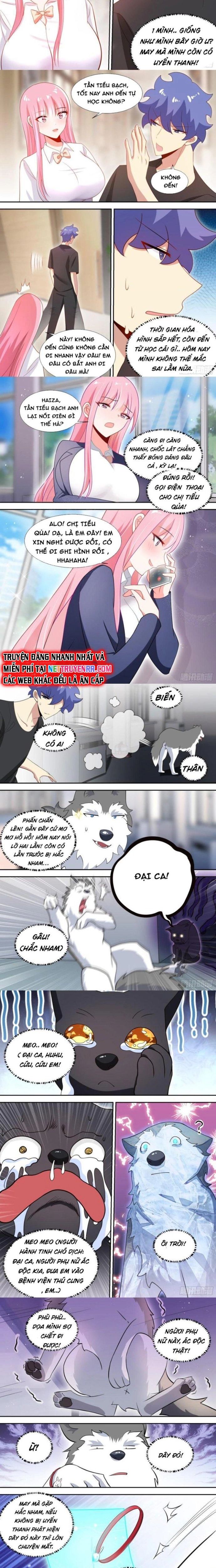 Trọng Sinh Thành Chó Của Nữ Thần Chap 95 - Next Chap 96