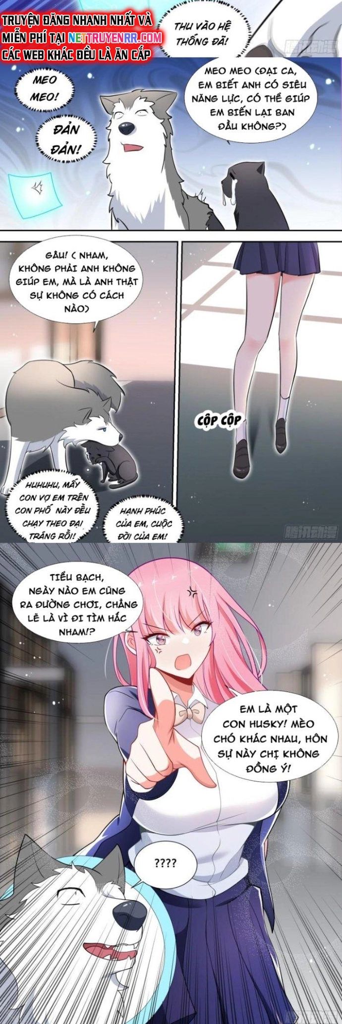 Trọng Sinh Thành Chó Của Nữ Thần Chap 95 - Next Chap 96