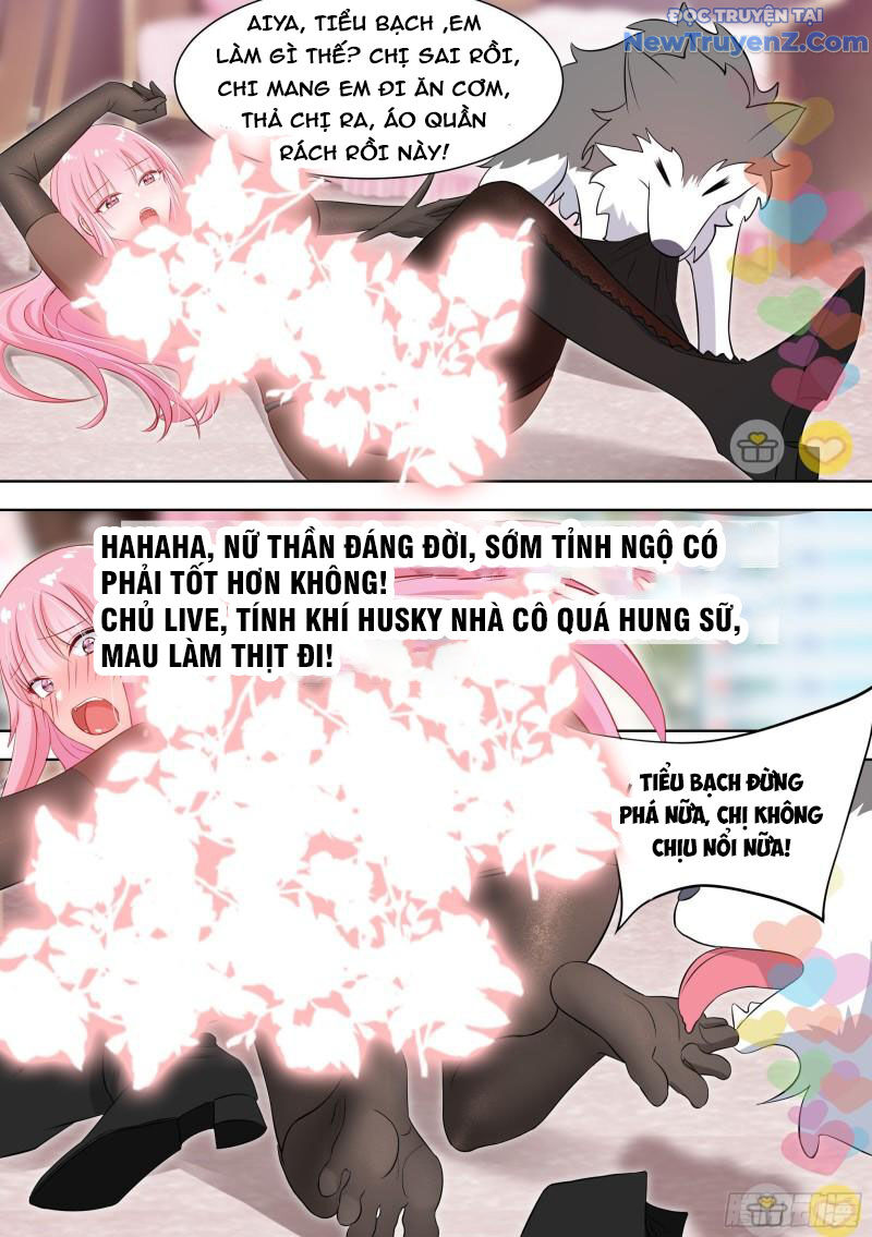 Trọng Sinh Thành Chó Của Nữ Thần Chap 98 - Next Chap 99