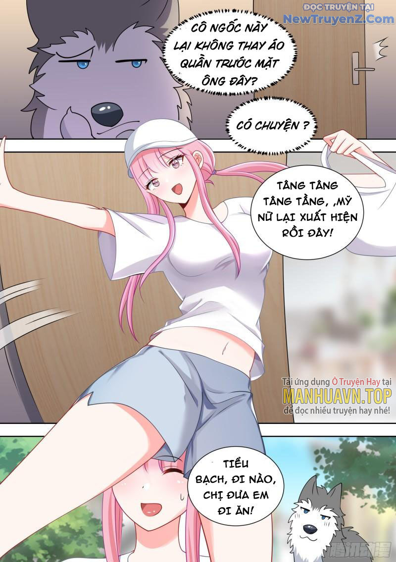 Trọng Sinh Thành Chó Của Nữ Thần Chap 98 - Next Chap 99