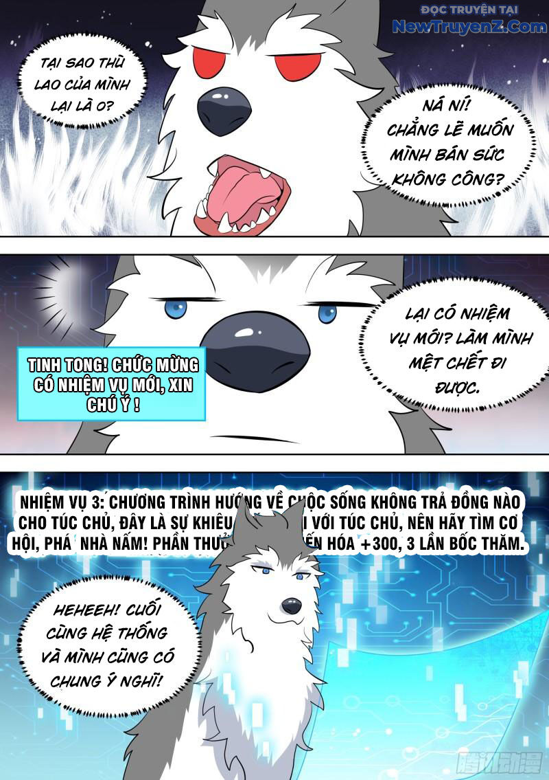 Trọng Sinh Thành Chó Của Nữ Thần Chap 98 - Next Chap 99