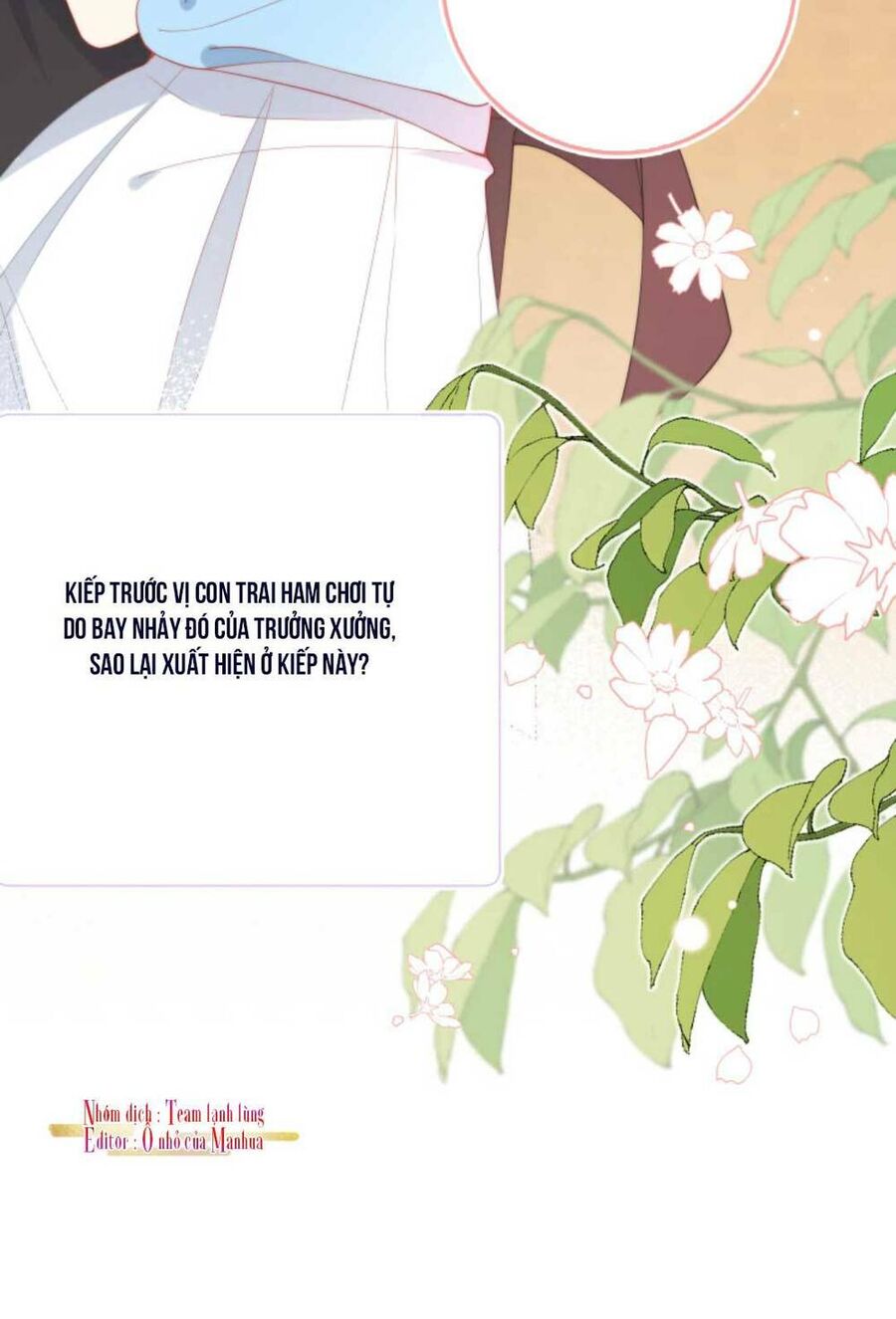 Trọng Sinh Trở Lại Làm Vợ Tổng Tài Chap 1 - Next Chap 2