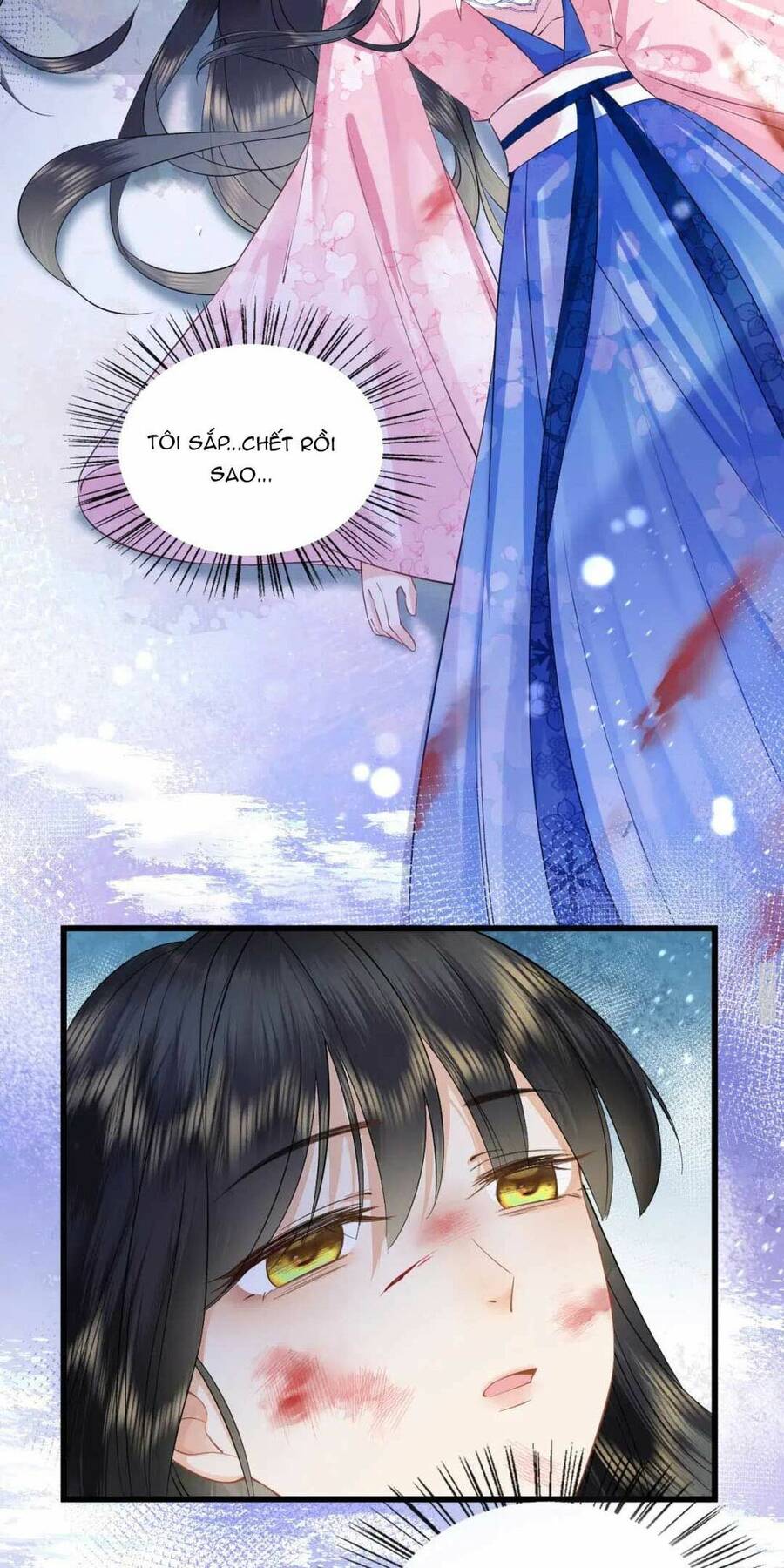 Trọng Sinh Trở Lại ! Ta Nhất Định Sẽ Bảo Vệ Nàng Chu Toàn ! Chap 1 - Next Chap 2