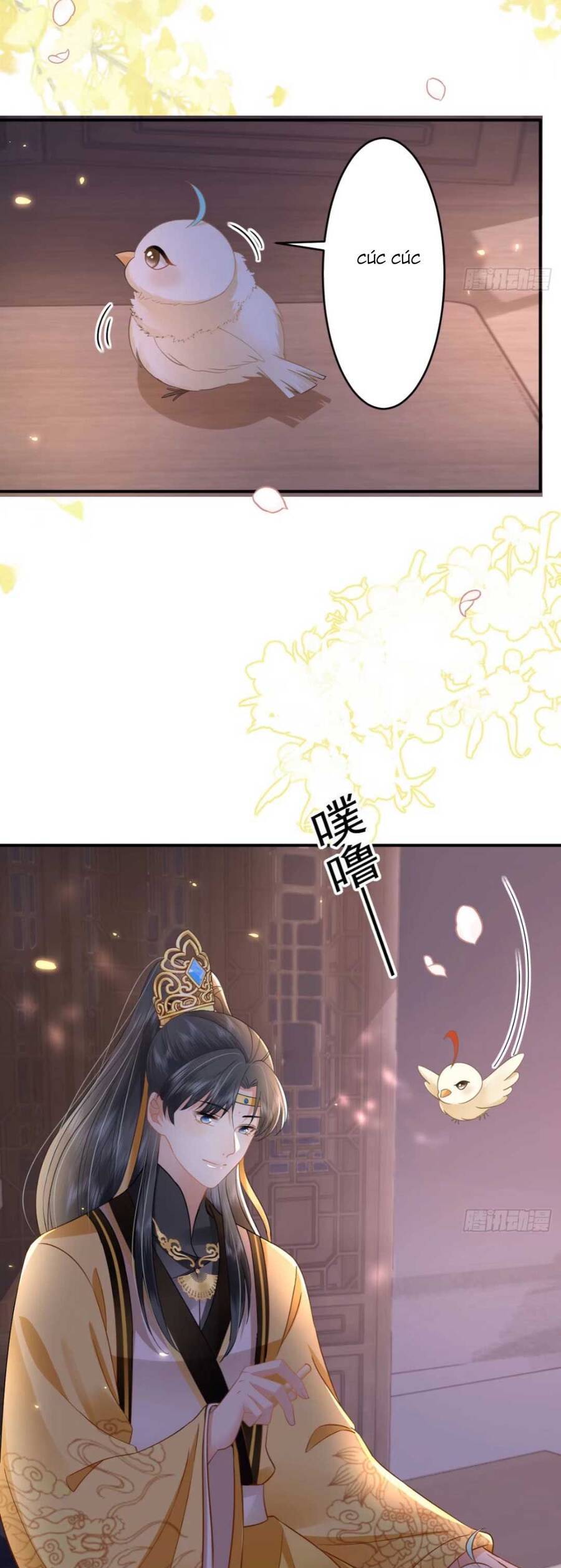 Trọng Sinh Trở Lại ! Ta Nhất Định Sẽ Bảo Vệ Nàng Chu Toàn ! Chap 10 - Next Chap 11