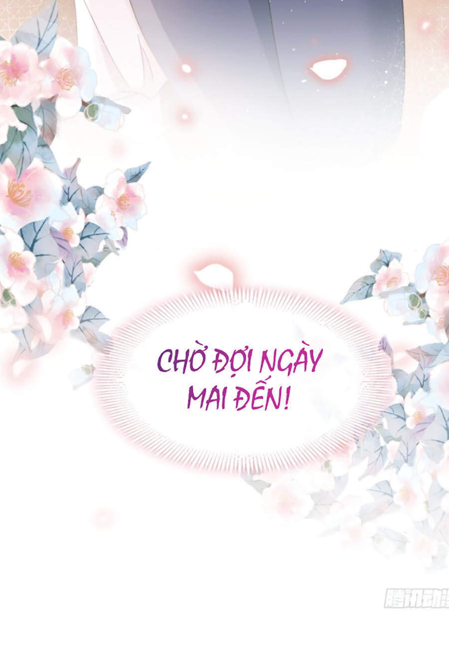 Trọng Sinh Trở Thành Món Tráng Miệng Của Tổng Tài Ma Cà Rồng Chap 12 - Next Chap 13