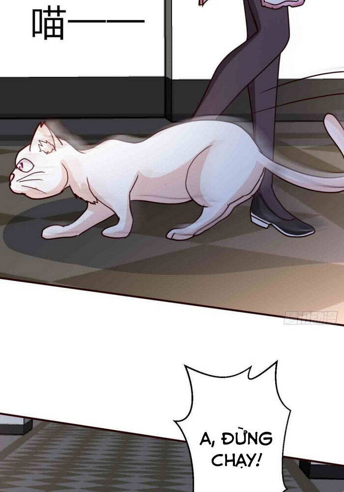 Trọng Sinh Tu Chân Tại Đô Thị Chap 115 - Next Chap 116