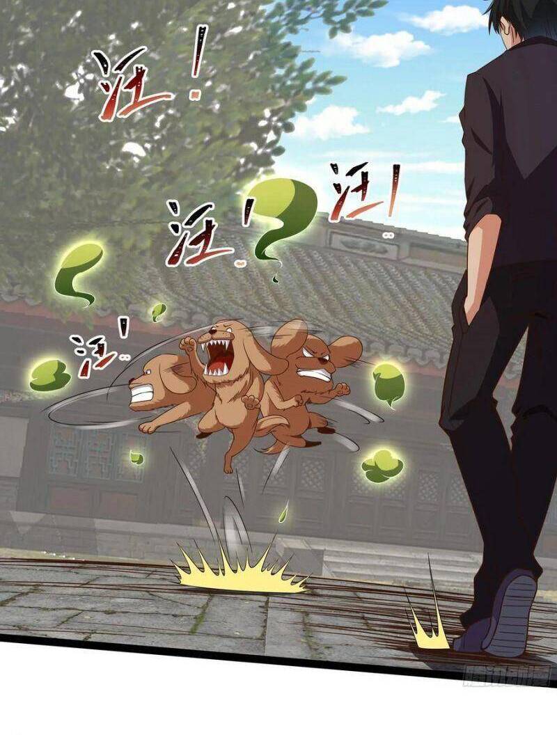 Trùng Sinh Đô Thị Thiên Tôn Chap 311 - Next Chap 312